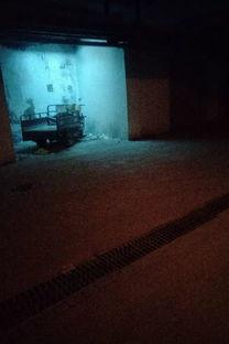 死水最新爆料,最新爆料揭露惊人内幕