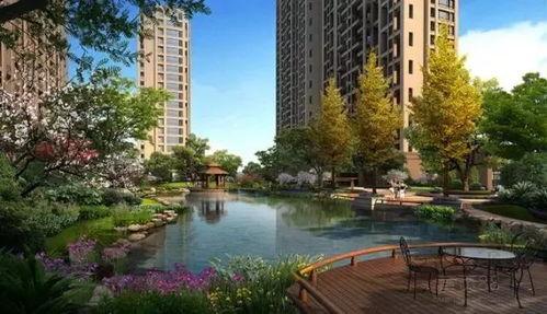 陈先生爆料小区视频大全,小区视频大全背后的真实故事  第1张