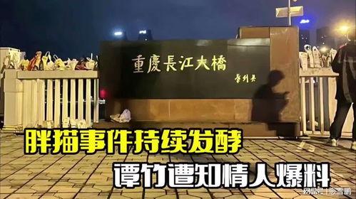 谭竹相关事件爆料视频,揭秘背后真相与网络舆论风暴  第3张